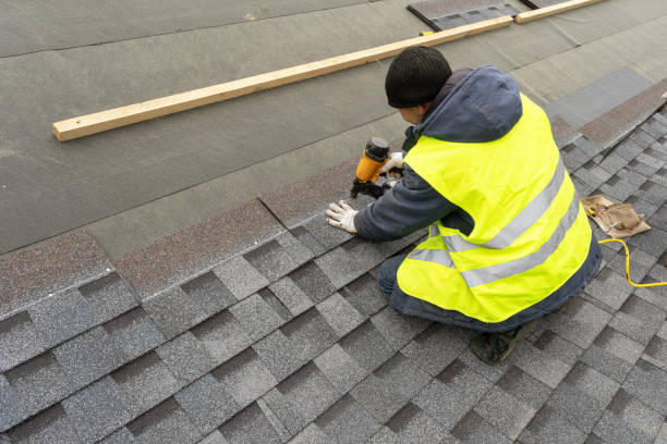 Best Roof Replacement Cost  in Davison, MI