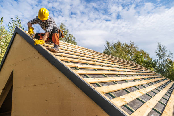 Best New Roof Installation  in Davison, MI