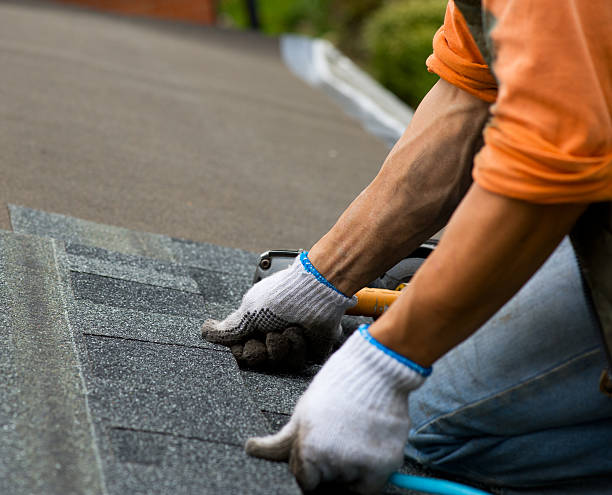 Best Flat Roof Repair Services  in Davison, MI