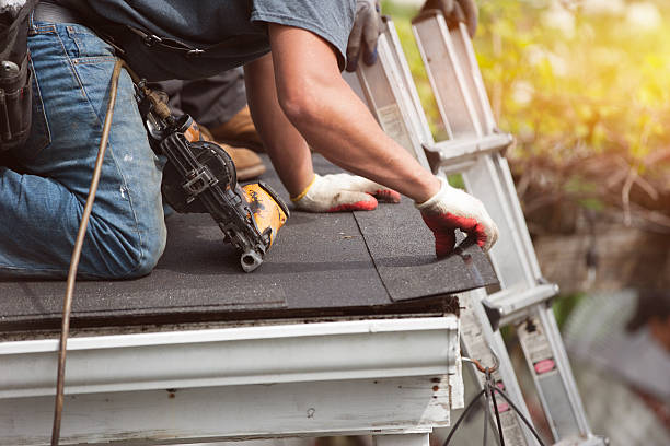 Best New Roof Installation  in Davison, MI