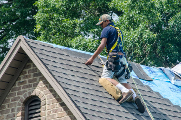Best Roof Gutter Cleaning  in Davison, MI