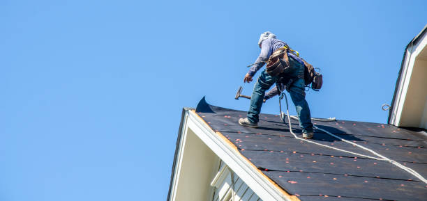 Best New Roof Installation  in Davison, MI