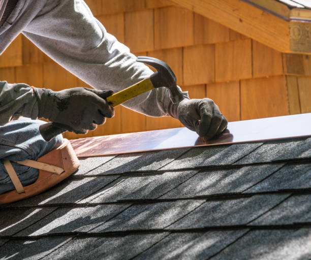 Best Storm Damage Roof Repair  in Davison, MI